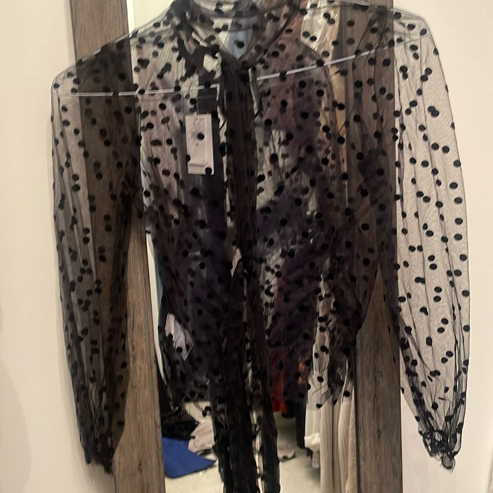 Banana Republic Polka Dot Sheer Top
